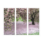cherry blossom tree three panel wrapped canvas stretched canvas print