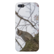 cherry blossom tree with bird iPhone 5 case