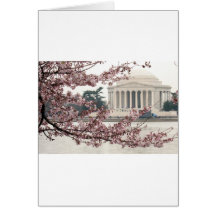 Cherry Blossom Washington DC Cards