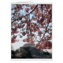 Cherry Blossom Washington DC Greeting Card