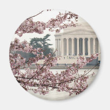 Cherry Blossom Washington DC Magnets