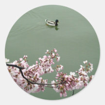 Cherry Blossom Washington DC Round Stickers