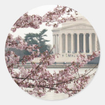 Cherry Blossom Washington DC Sticker