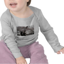 cherry blossom Washington dc T-shirt