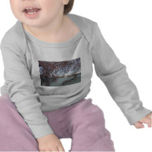 Cherry Blossom Washington DC T Shirts