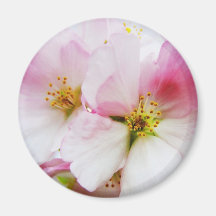 Cherry Blossoms 8 Magnet