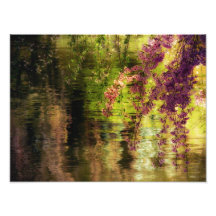 Cherry Blossoms Over A Pond Photograph