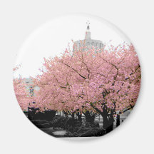 Cherry Capitol Fridge Magnet