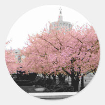 Cherry Capitol Sticker