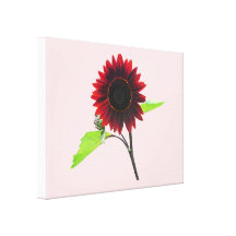Cherry Chocolate Sunflower Gallery Wrapped Canvas