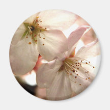 Cherry Light Refrigerator Magnet