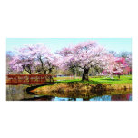 Cherry Trees in the Park Custom Photo Card