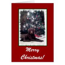 Chesapeake Bay Retriever, Merry Christmas! Greeting Card