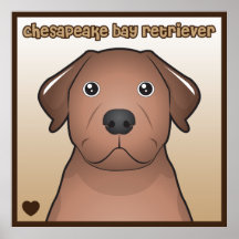 Chesapeake Bay Retriever Posters