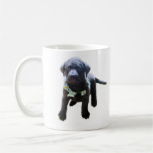 Chesapeake Bay Retriever Puppy Mug