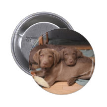 Chesapeake Bay Retrievers Button