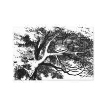 Cheshire Cat Gallery Wrap Canvas