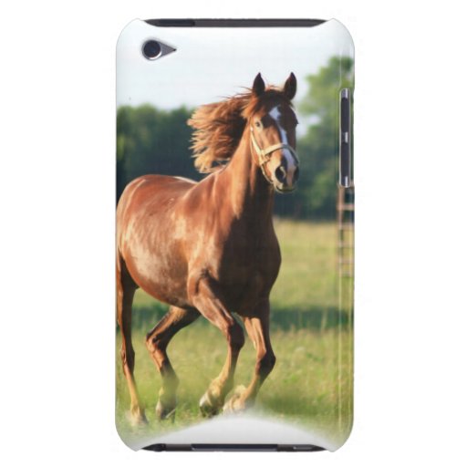 Chestnut Galloping Horse iTouch Case iPod Case-Mate Cases