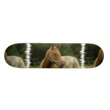 Chestnut Horse in a Field Skateboard