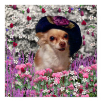 Chi Chi in Flowers  - Chihuahua Puppy in Cute Hat posters