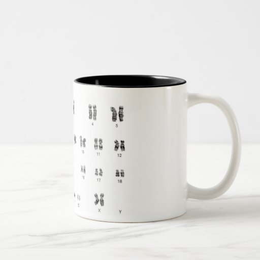 chic geek genetics xx female coffee mug
