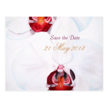 Chic white red orchids save the date postcards