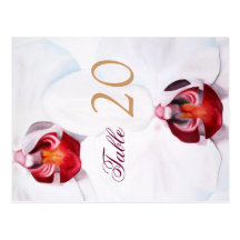 Chic white red orchids table menu & number card post cards