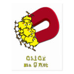 Chick Magnet Post Cards
