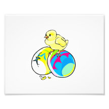 chick on two coloured easter eggs photographic print