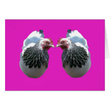 CHICKEN DUO ON MAGENTA CARD