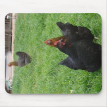 Chicken Mousepads