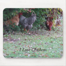 Chicken Trio Under Bush, I Love Chickens Mousemats