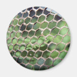 chicken wire magnet