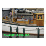 Chickens at Sea - Humour Card