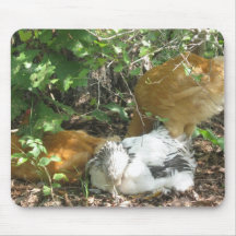 Chickens in the shade IMG_0312 Mousepad