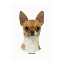 Chihuahua  9W092D-032 Business Card