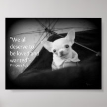 Chihuahua appreciation poster