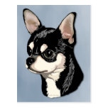 Chihuahua Black & Tan Postcard