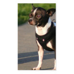 Chihuahua business cards
