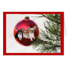 Chihuahua Christmas Card Ball