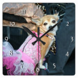 Chihuahua dog  clock