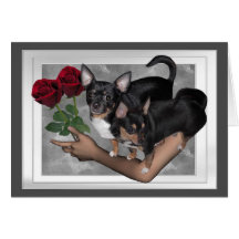 Chihuahua Roses Love Card