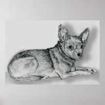 Chihuahua Sketch 1 Posters