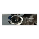 Chihuahua with Goggles skinny Business Cards