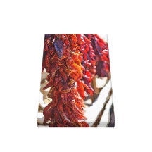 Chii Peppers in a row Gallery Wrap Canvas