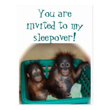Children 's Party  Sleepover Invitation Postcards