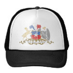 Chile Coat Of Arms Mesh Hats