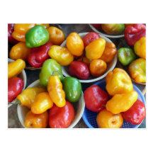 CHILIES POSTCARD
