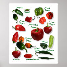 Chilli Pepper Varieties Posters