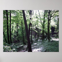 Chilling Mood Print